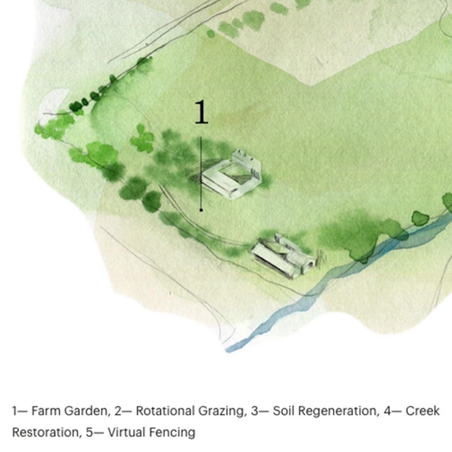 Eames Farm Garden Illustration