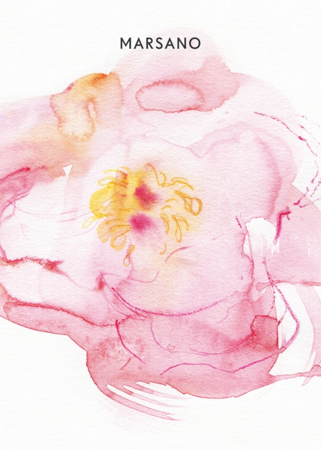Elisabeth Moch - Marsano Flower Drawing Session