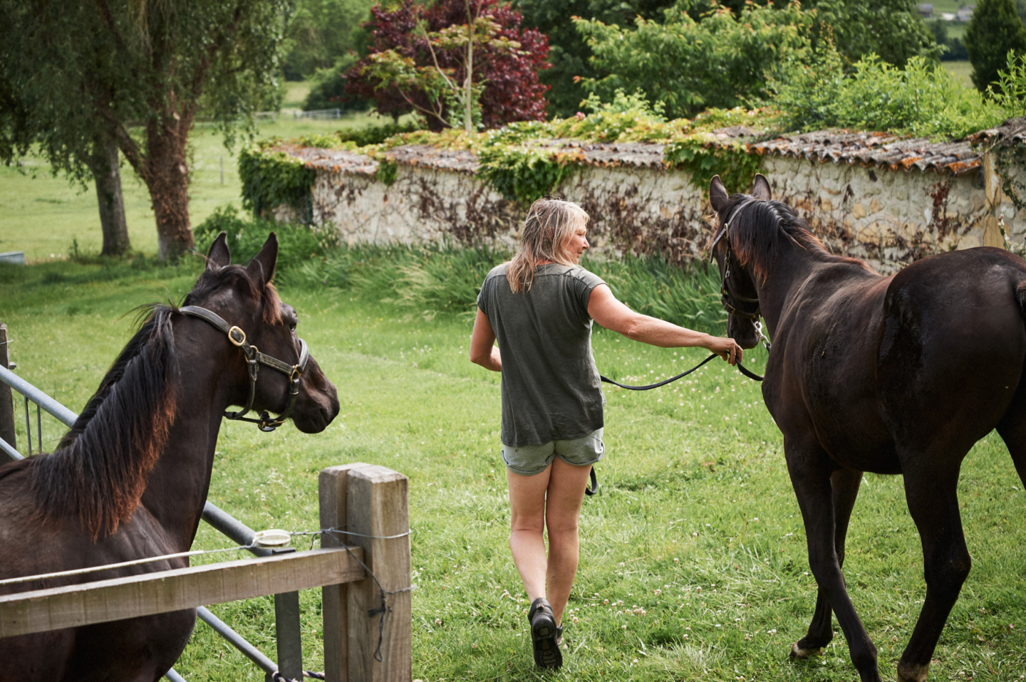 Horsemanship in France