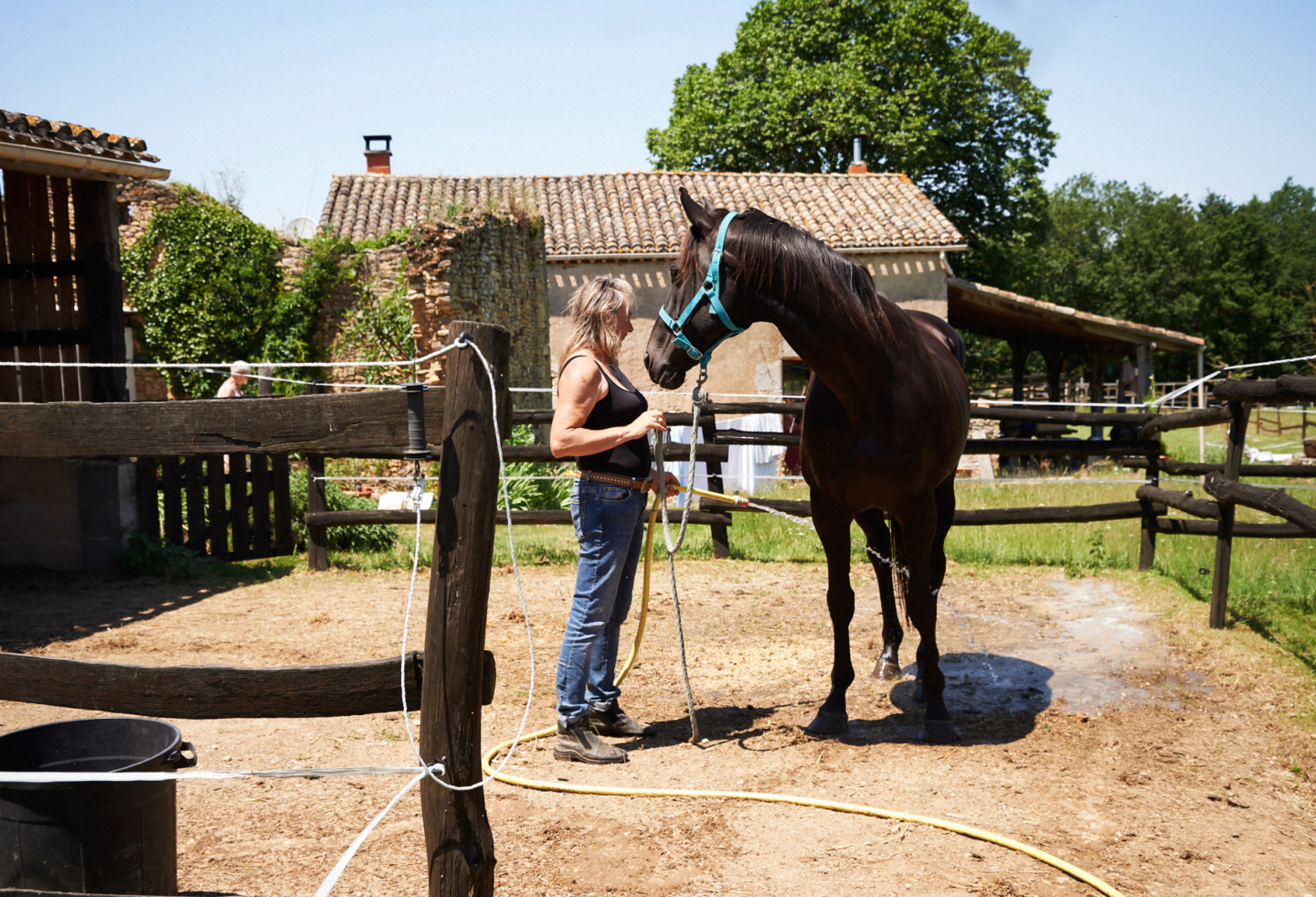 Horsemanship in France
